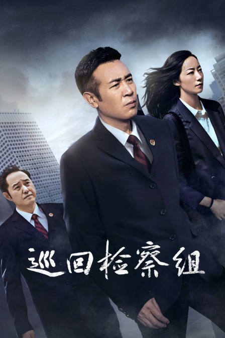 巡回检察组  DVD版