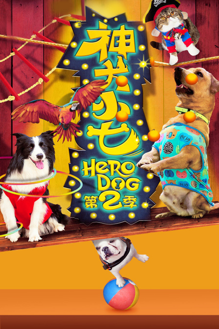 神犬小七  第二季
