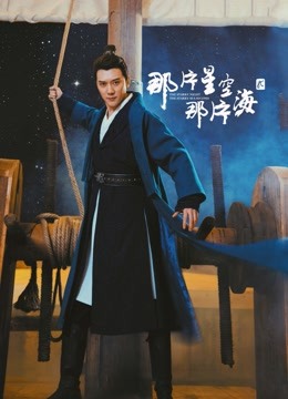 那片星空那片海2 DVD版