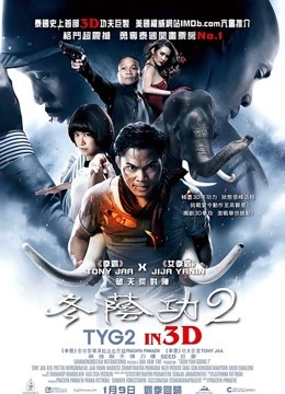 冬荫功2:拳霸天下