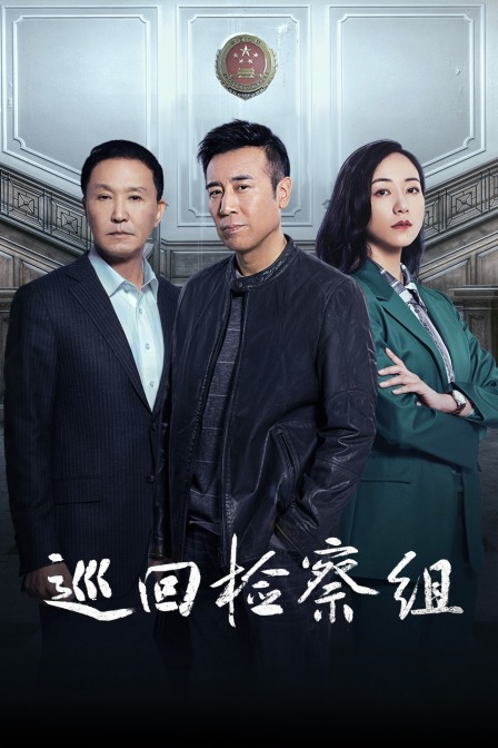 巡回检察组  TV版