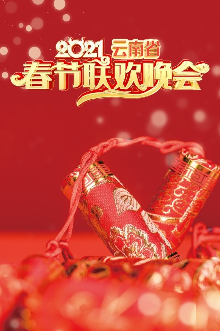 云南省春节联欢晚会  第二十季21