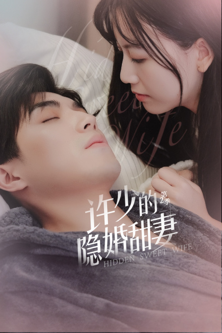 许少的隐婚甜妻  第二季