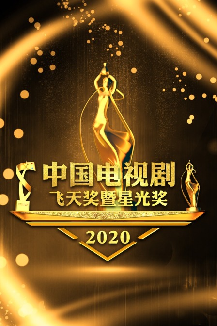 中国电视剧飞天奖暨星光奖  第二十季20
