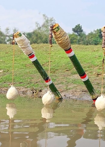 国外赶海抓鳗鱼泥滩里捉竹节虾青蟹出海捕捞帝王蟹鱼群