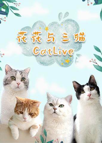 花花与三猫CatLive  第二十季20