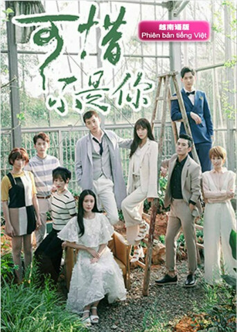 可惜不是你  越南版语版