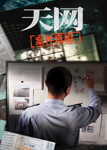 天网:案件真相