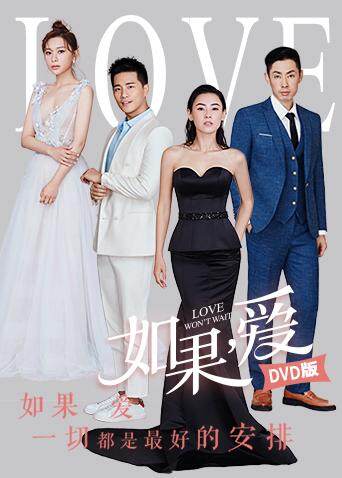 如果爱  DVD版