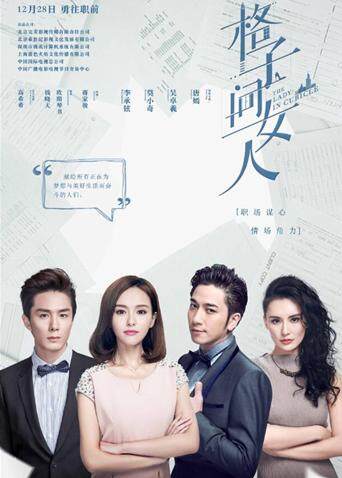 格子间女人  TV版