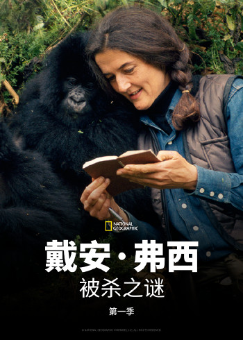 戴安:弗西被杀之谜