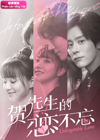 贺先生的恋恋不忘  越南版语版