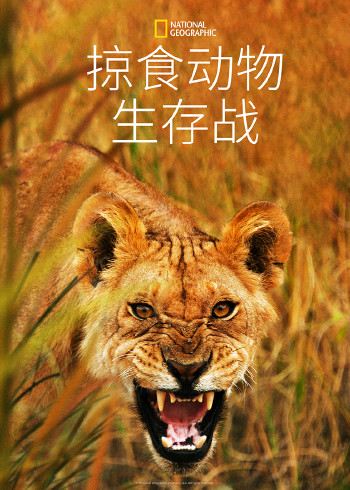 掠食动物生存战