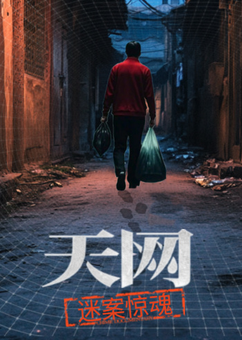 天网:迷案惊魂