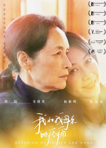 我和我母亲的疼痛