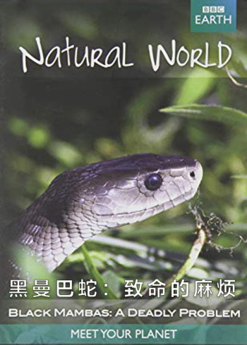 黑曼巴蛇:致命的麻烦