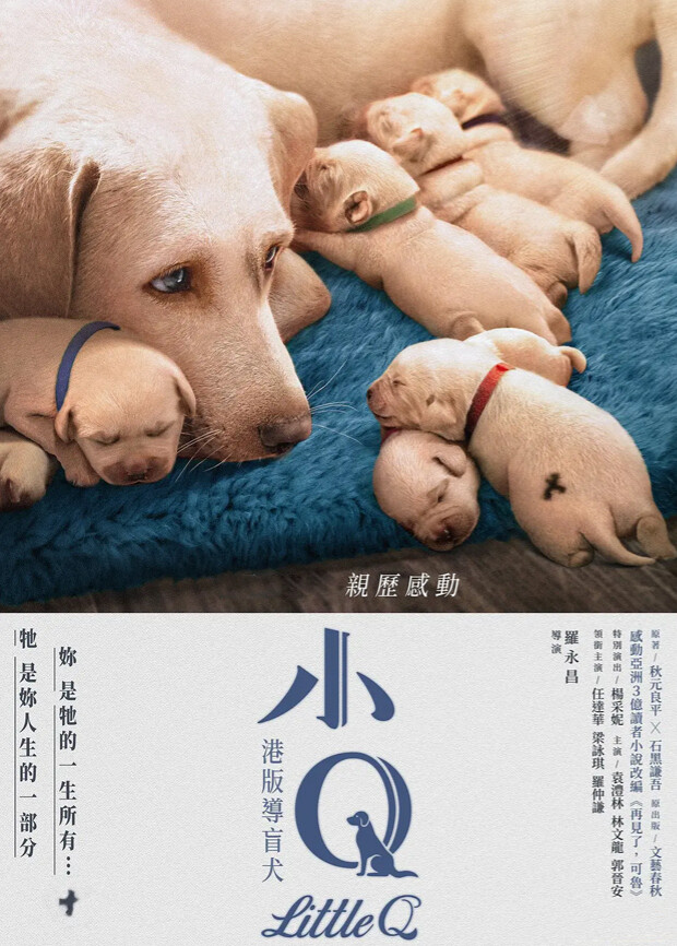 小Q 粤语