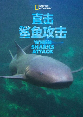 直击鲨鱼攻击    第四季
