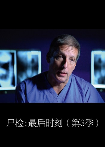 尸检:最后时刻    第三季