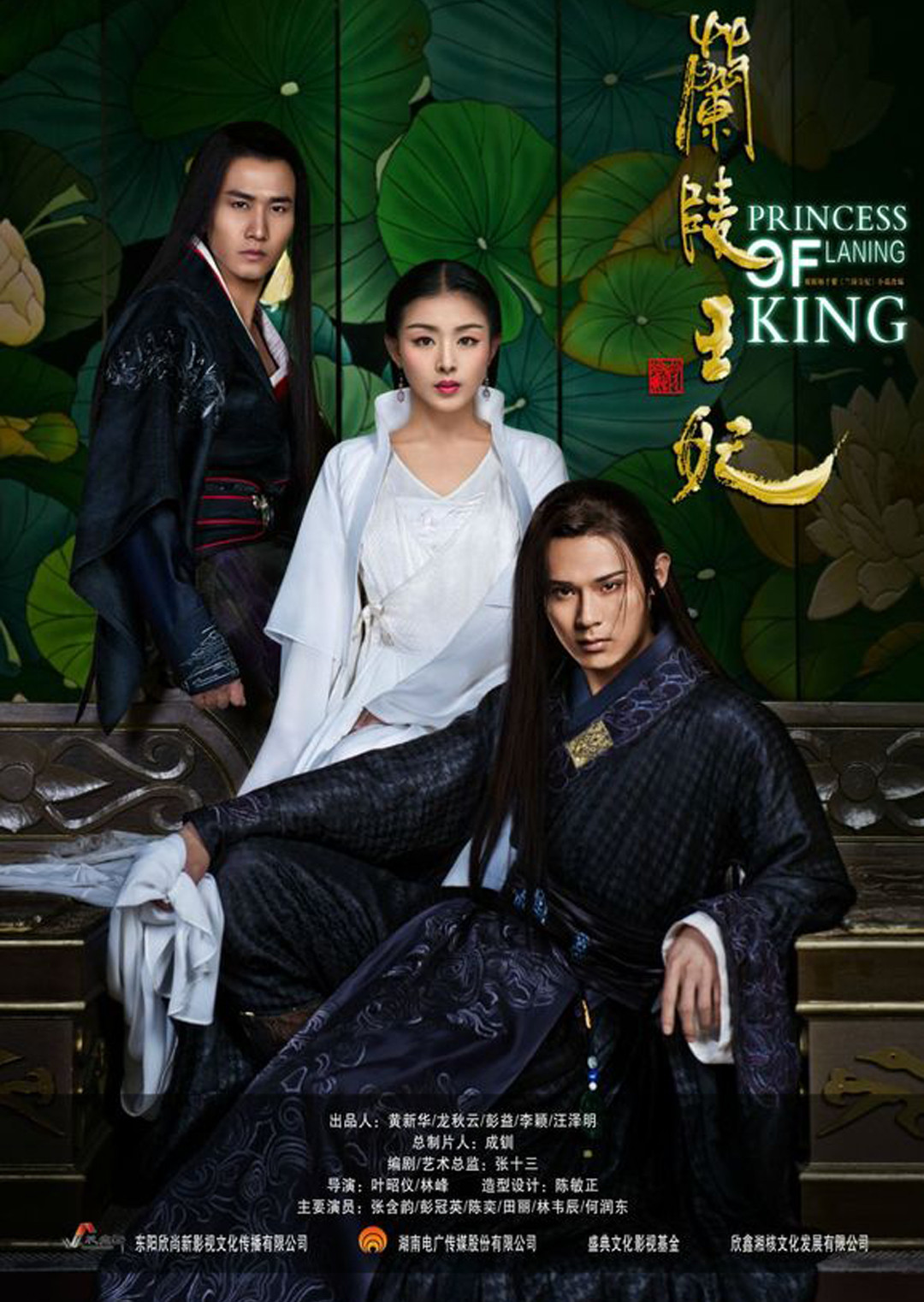兰陵王妃  DVD版