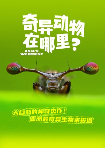 奇异动物在哪里