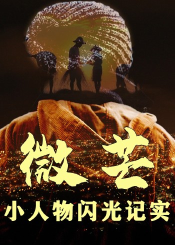 微芒:小人物闪光记实
