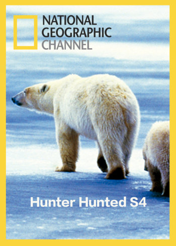猎人猎物   第四季