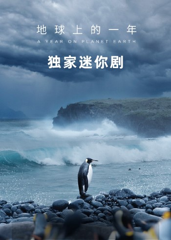 地球上的一年 独家迷你剧