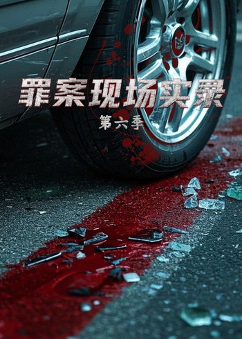 罪案现场实录   第六季