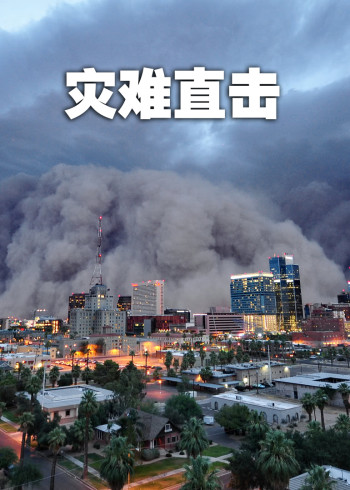 灾难直击