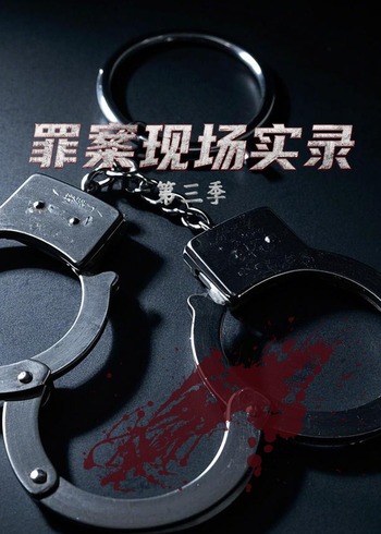 罪案现场实录   第三季