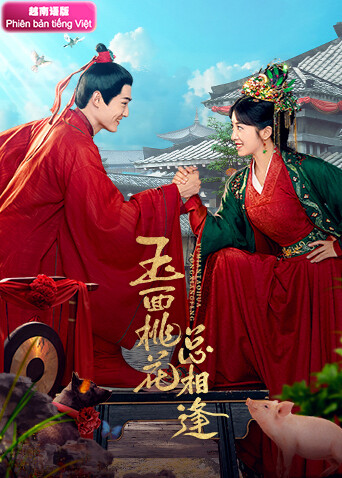 玉面桃花总相逢 越南版语版