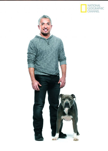 呼叫西萨狗教官