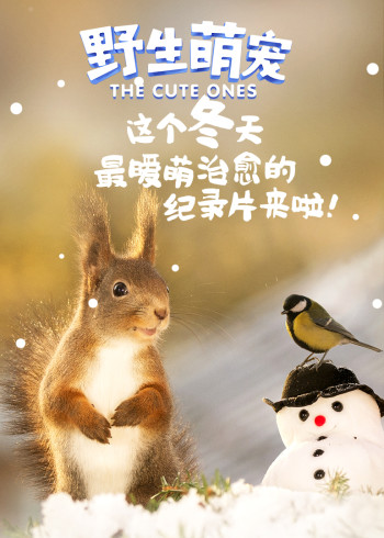 野生萌宠