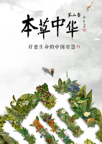 本草中华    第二季