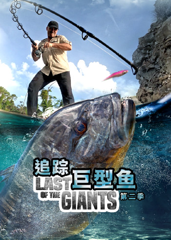 追踪巨型鱼    第二季