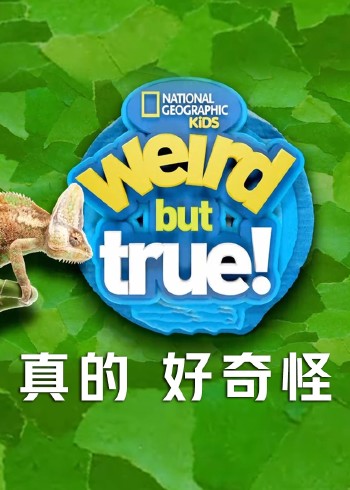 真的 好奇怪    第二季