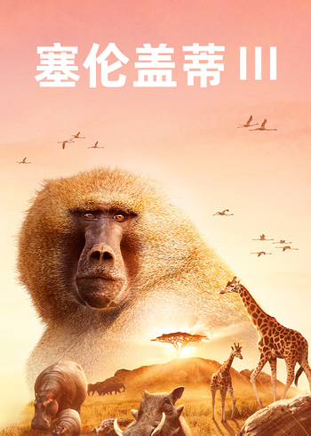 塞伦盖蒂    第三季