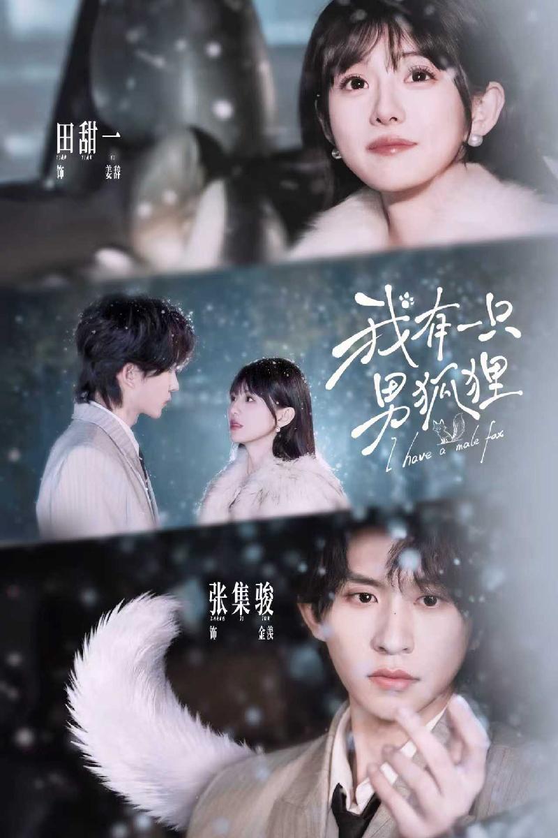 我有一只男狐狸