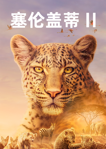 塞伦盖蒂    第二季