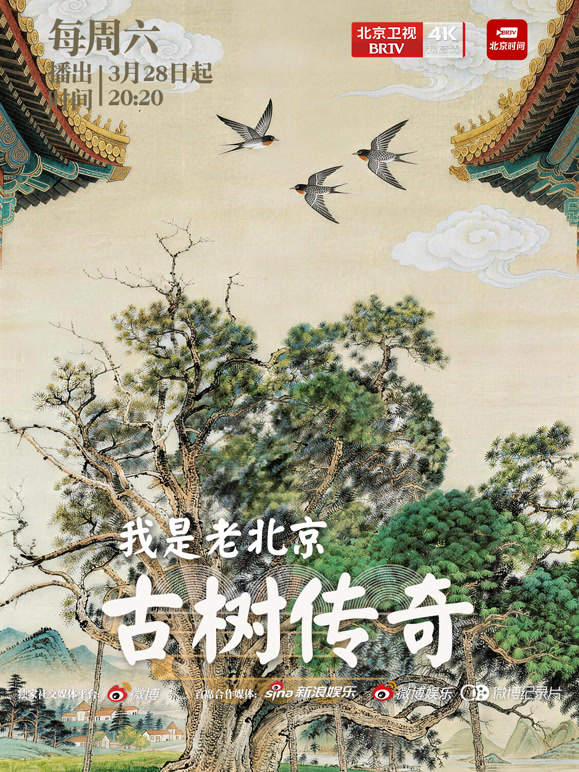 我是老北京:古树传奇