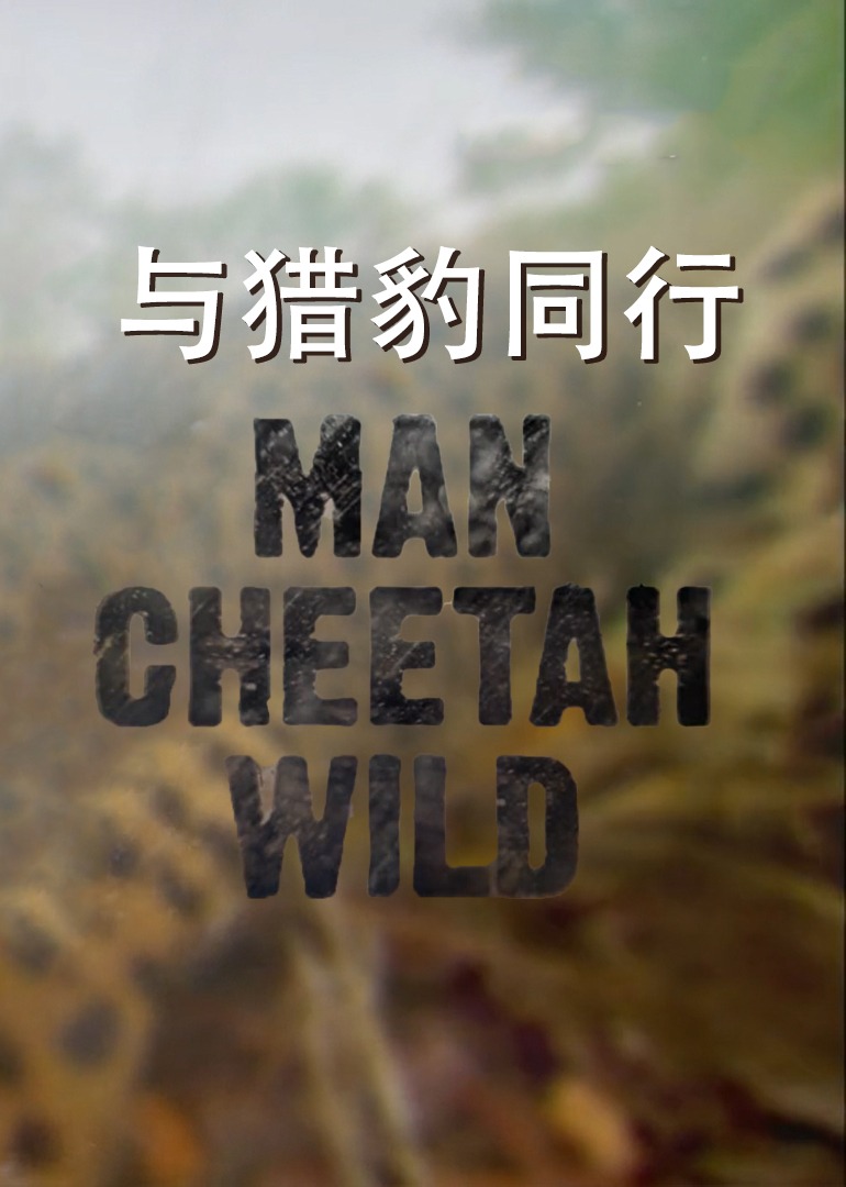 与猎豹同行