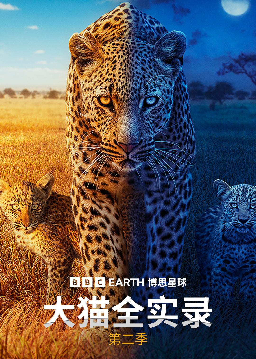 大猫全实录  第二季