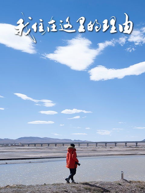 我住在这里的理由  第五季
