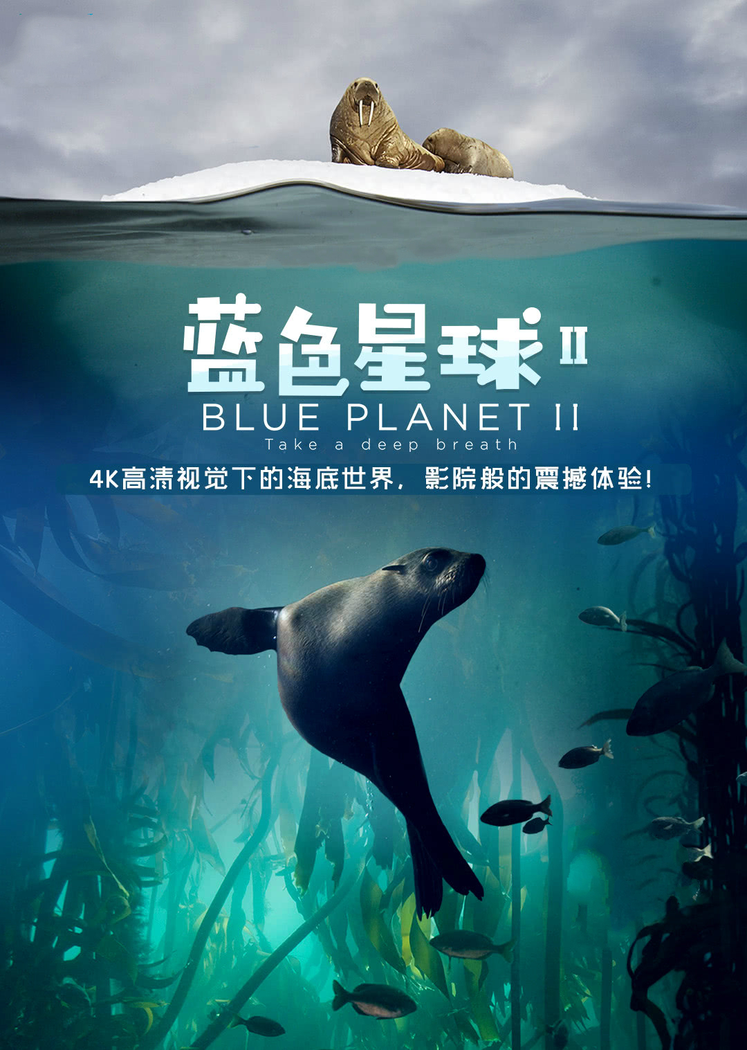 蓝色星球  第二季