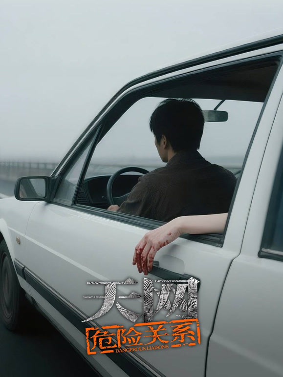 天网:危险关系