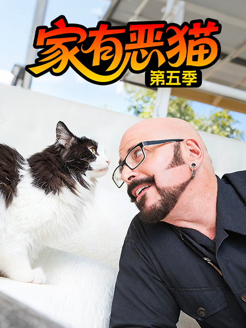 家有恶猫  第五季