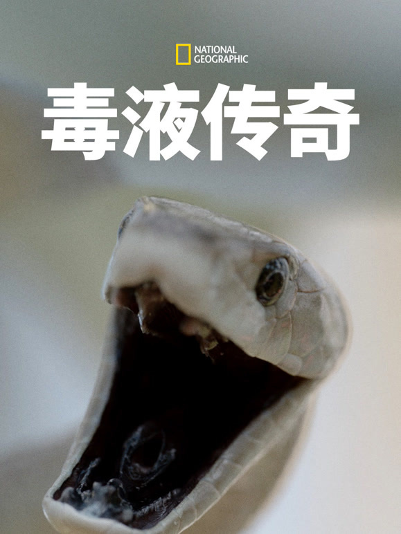 毒液传奇