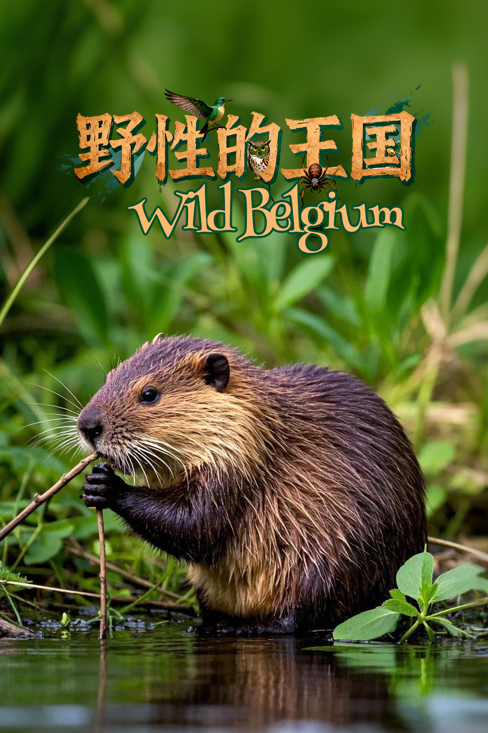 野性的王国