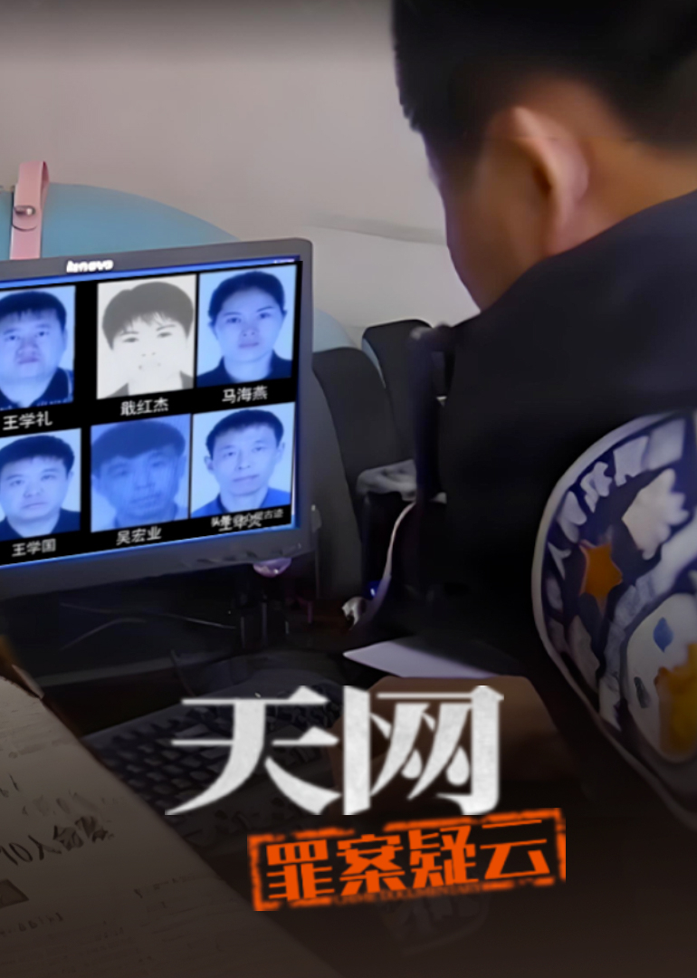 天网:罪案疑云